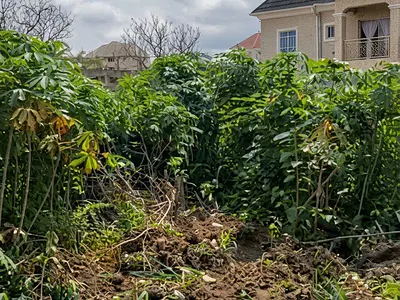 519 SQM Land Property at a Strategic Location — Asadu Extension, Thinkers Corner, Enugu, Enugu