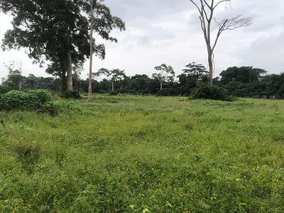 Land — Riverview Estate, Opic, Isheri North, Ogun