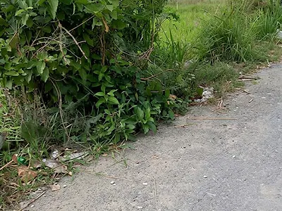 770SQM Distress Sale of Residential Land — Ugwuaj - Little Way Layout, Opposite Power Plant, Enugu, Enugu