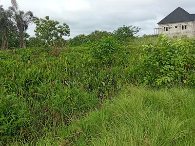 Land — Awoyaya, Awoyaya, Ibeju Lekki, Lagos