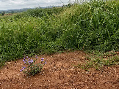Residential Land at a Very Strategic Location — Amangwu, Iji Nike, Enugu, Enugu