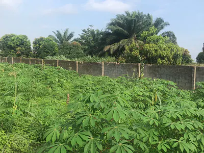 18 Acres of Land with C of O — Mowe Ofada, Ogun