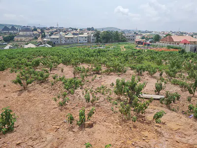 350SQM Residential Land Plot — Ketti-North, Pyakasa, Lugbe District, Abuja
