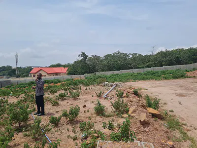 Affordable Dry Land - Plots of Land — Ketti-North, Pyakasa, Lugbe District, Abuja
