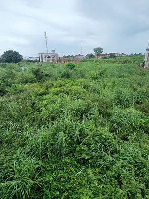 800SQM Residential Land — Tennecee Estate Centenary, Enugu, Enugu