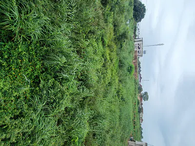 800SQM Residential Land — Tennecee Estate Centenary, Enugu, Enugu