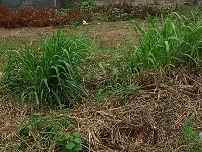 Residential Land Plot — Ajah, Lagos