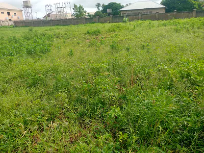 2500SQM Commercial Land — Wuse 2, Abuja