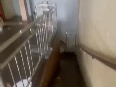 3 Bedroom Flat with En-Suite Bedrooms — Shangisha, Magodo, Lagos