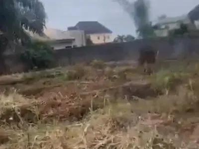 Full Plot of Bareland — UNILAG Estate, GRA Phase 1, Magodo, Lagos