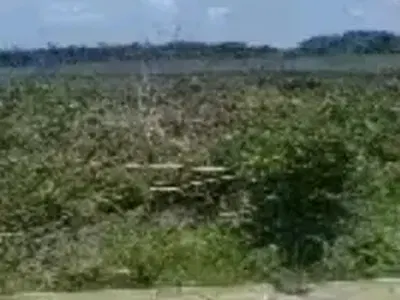 100 Acres of Land Facing a Major Road — Ogombo, Ajah, Lagos