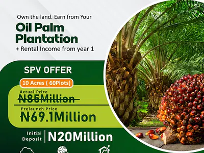 Farm Land - Oil-Palm Plantation — Odeda, Ogun