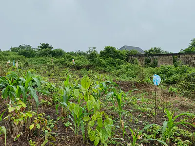 Residential Land — Beside Saint Augustine University, Ilara, Epe, Lagos