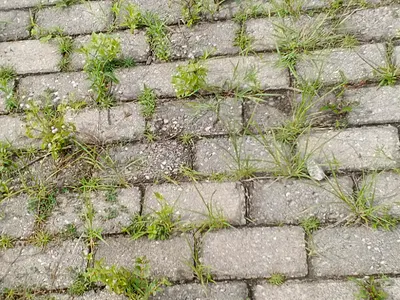 Land — Lekki Scheme 2 Estate Abraham Adesanya Ogombo Road Ajah, Lekki Phase 2, Lekki, Lagos