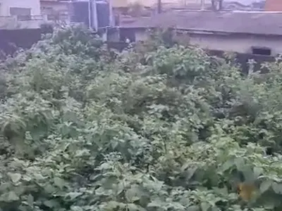 More Than Full Plot of Land in Secured Serene Area — Bucknor, Oke Afa, Isolo, Lagos