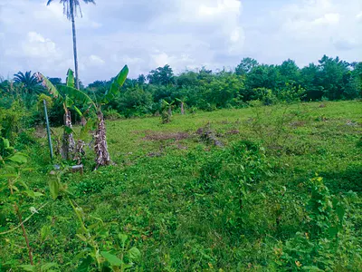 Residential Land in Alabata Moniya — Ibadan, Oyo