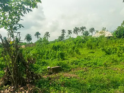 Mixed-Used Land — Moniya, Ibadan, Oyo
