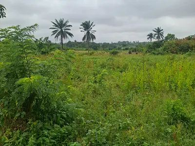 Residential Land with Registered Survey — Ido, Oyo
