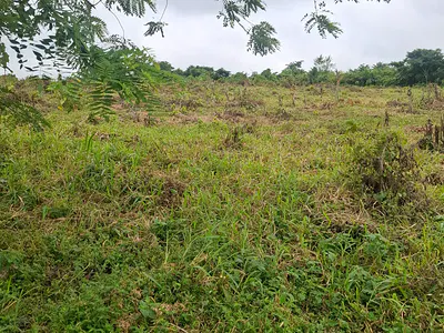 Mixed-Use Land with Deed of Assignment — Ido, Oyo