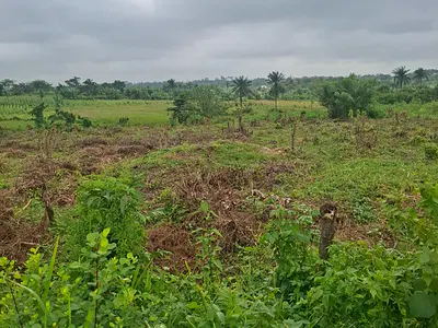 Residential Land with Survey & Deed — Ido, Oyo