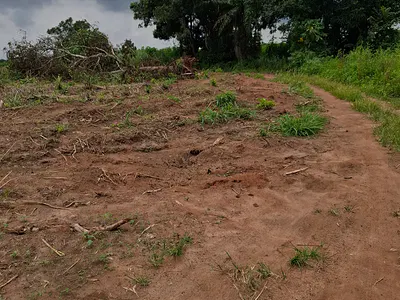 Mixed-Use Land with C of O — Ido, Oyo
