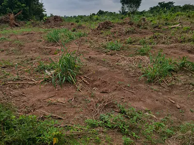 Residential Land with C / O — Ido, Oyo