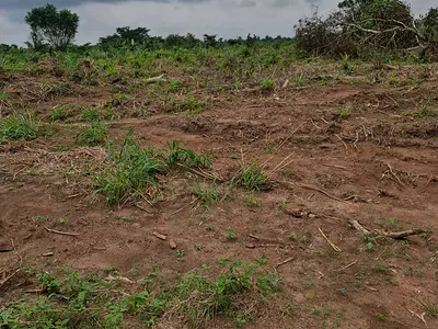 Affordable Plot of Land with C of O — Ido, Oyo