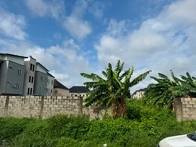 2000sq JV Plots of Residential Land — George Adiele Crescent, Ajah, Lagos