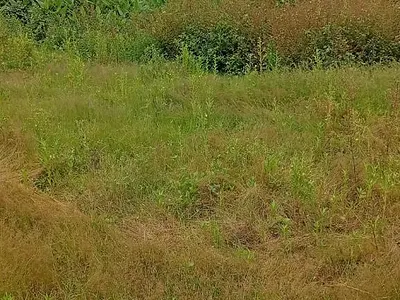 Distress 100hecters for Estate Purpose — Maitama 2, Maitama District, Abuja