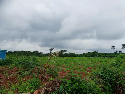 Residential Land — Asipa Village via Imo Village, Off Oba Erin, Obafemi Owode, Obafemi Owode, Ogun