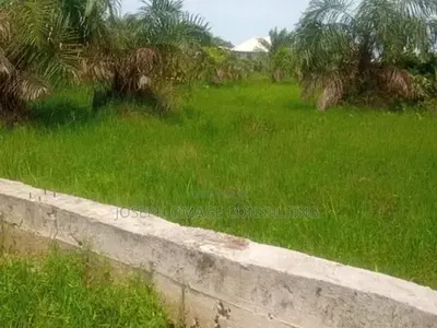 Residential Land — Ajaratu Oloro Village Ehinra, Ibeju Lekki, Lagos