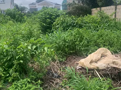 Land — Eko Atlantic City, Lagos