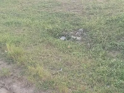 Residential Land — The Embassy, Wasa, Apo, Abuja