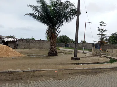 Well Situated Land — Bishop Oluwole Street, Victoria Island (VI), Lagos