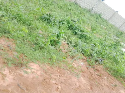 600 SQM Commercial Land in a Developing Environment — Imota, Ikorodu, Lagos
