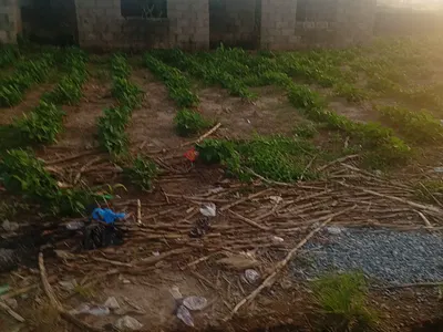 Land for 5 Bedroom Fully Detached Flat — Behind Otunba Gbenga Daniel STR, Katampe Extension, Katampe, Abuja