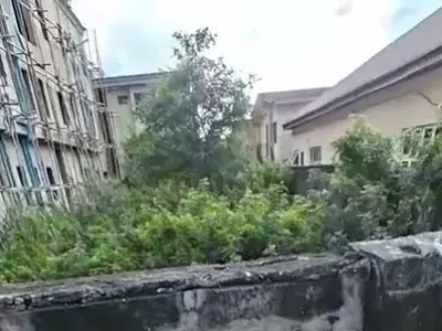 Half Plot of Solid Dryland — Ago Palace, Isolo, Lagos