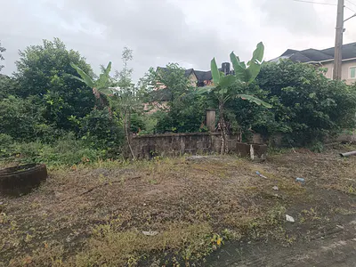 650 SQM of Dryland with Cofo — Ajah, Lagos