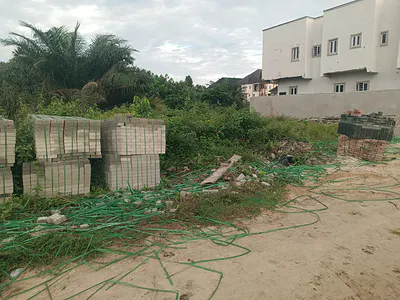 300 SQM of Dryland with Governor Consent — Ajah, Lagos
