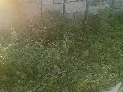 Residential Land — Opposite Anglican SCH, Jikwoyi, Abuja