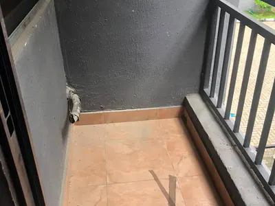 4 Bedroom Terraced Duplex — Ikate Elegushi, Lekki, Lagos