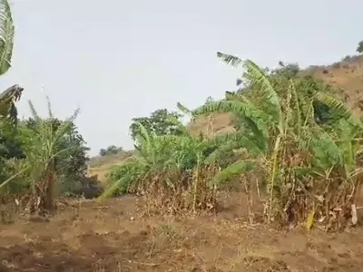 Land — Maitama 2, Maitama District, Abuja