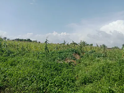 Land — Maitama 2, Maitama District, Abuja