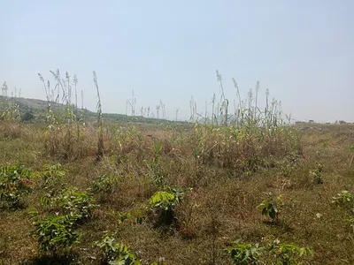 Land — Apo - Tafyi, Apo, Abuja