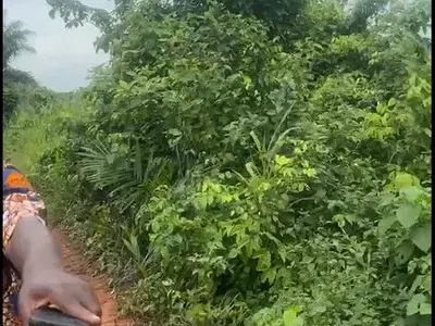 10 Acres of Land — Behind the Mowe-Ofada Axis, Obafemi Owode, Ogun