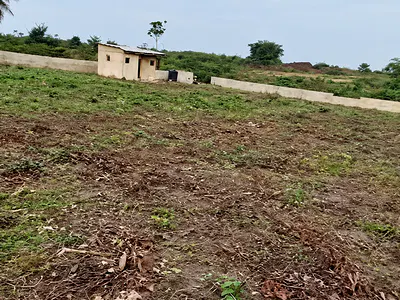 15 Plot Farm Land — Igbodun, Epe, Lagos