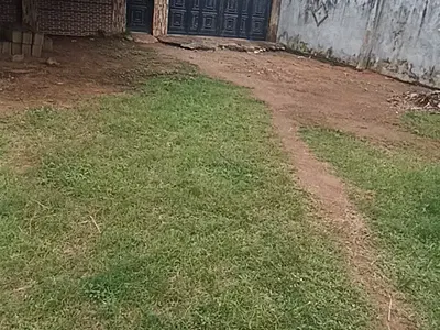 1 Bedroom Self Contain — Ayobo, Lagos