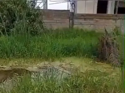Half (300SQM) of Prime Land. Video Available — Orchid, Lekki, Lagos