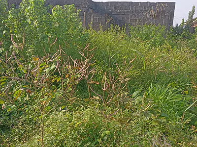 Uncompleted 4 Bedroom Bungalow to Roofing Level — Ikorodu, Lagos