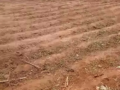 600 SQM, Residential, Fcda R of O — By Military Pensions Board, Fo1 Layout, Kubwa, Abuja